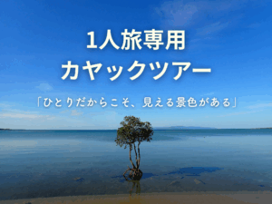 一人旅専用ツアー