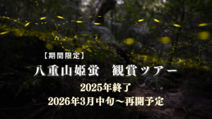 八重山姫蛍観賞ツアー
