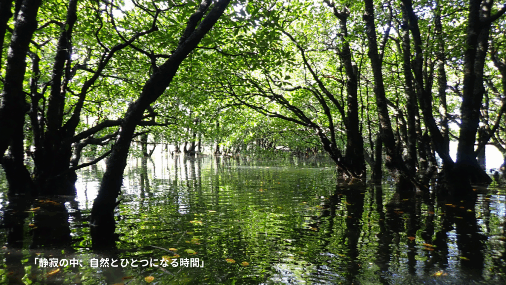 静寂の中、自然とひとつになる時間