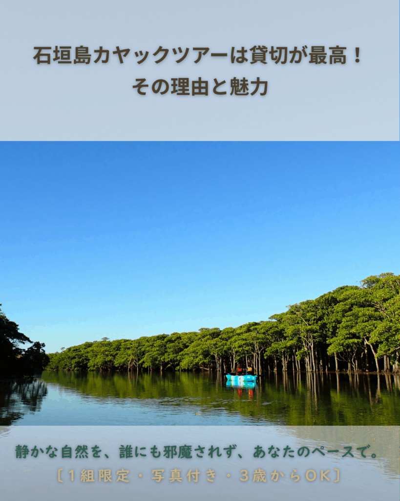 【石垣島カヤックツアー貸切専門】1組限定・幼児OK・写真付きで安心!現地ガイドが語る魅力