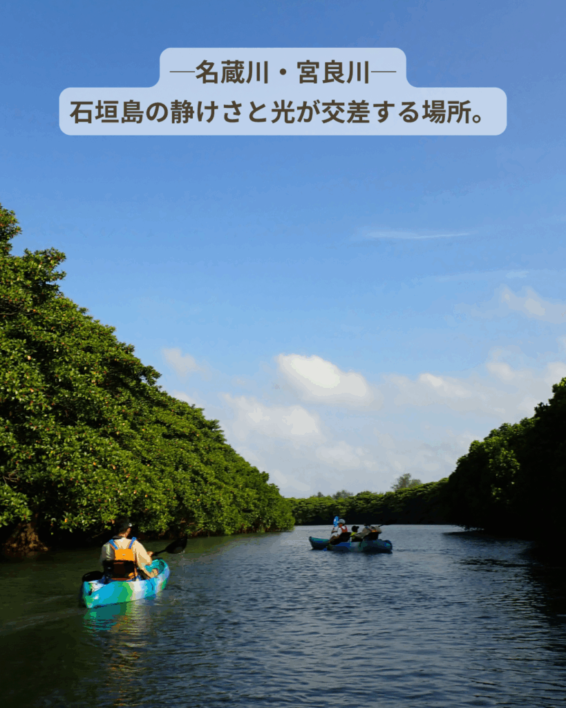 ツアー場所:名蔵・宮良川など